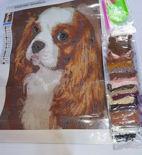 Pintura Com Diamantes-diy 5d Strass- Cavalier Spaniel- 30x40
