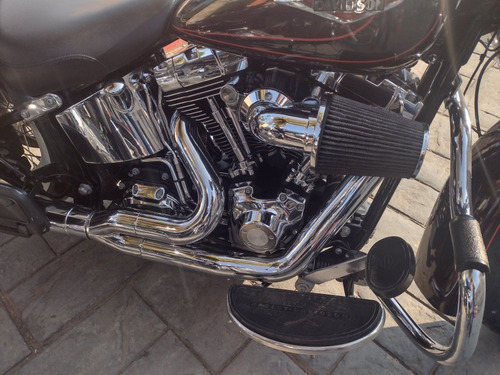 Imagen 8 de 10 de Harley Davidson Heritage Softail