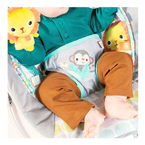 Bright Starts Comfy Baby Bouncer Soothing Vibrations Infant