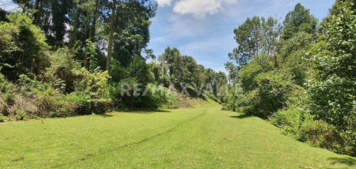Imagen 6 de 18 de Terreno En Venta.