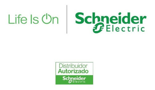 Imagen 9 de 9 de Pastilla Interruptor Termomagnético Qo250 2polo50a Schneider