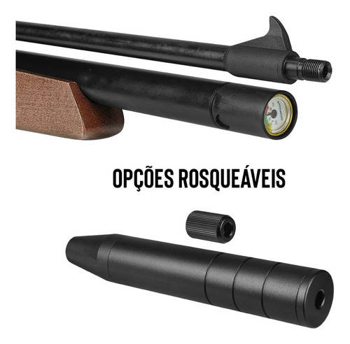 Carabina Pressão Pcp Artemis 900fps 4.5mm C/ Alvo 04 Pendulo