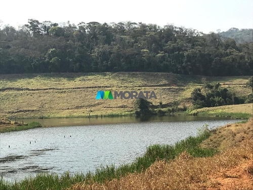 Imagem 5 de 15 de Fazenda - Zona Rural - Ref: 5241 - V-mta5241