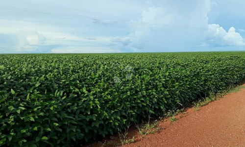 Imagem 7 de 8 de Fazenda Em Divinópolis Do Tocantins - 2808