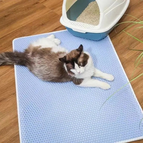 Alfombra Captura Arena Para Gatos, Esterilla, Antideslizante