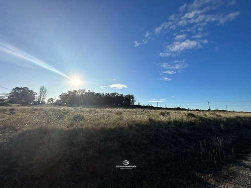Terreno En Tandil