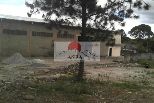 Imagem 3 de 5 de Vendo Ou Alugo Área 11.000 M² Zup-1 Com Galpão 500 M² - 364
