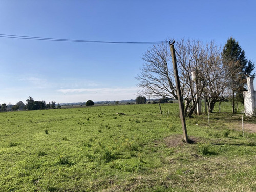 Imagen 5 de 18 de Chacra De 6 Hectáreas Con Vivienda Frente A Ruta 7