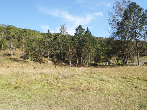 Imagem 6 de 18 de Sítio À Venda Em Juquitiba 56.000 M² Lago Cheio De Peixes