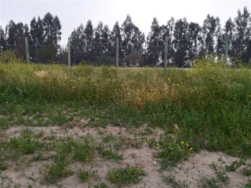 Imagen 14 de 23 de Sitio En Venta En Isla De Maipo