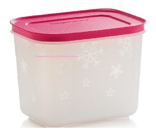 Hermetico Practifreezee Frozen 1l Tupperware® Apto 0% Bpa