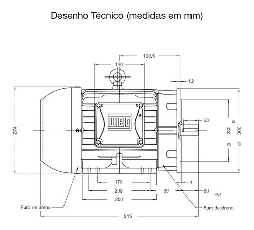Motor Elétrico Trifásico Weg Ie3 15cv 220/380/440v 4 Polos