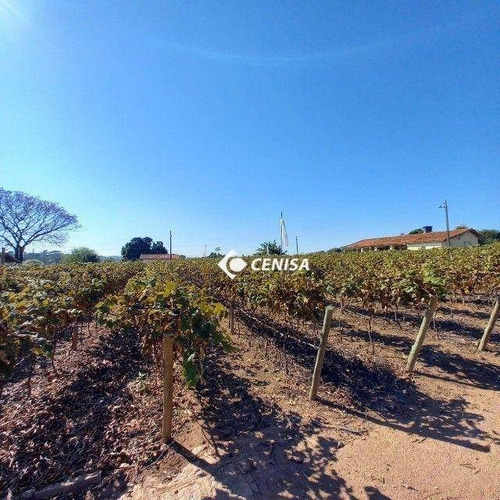 Imagem 10 de 12 de Sítio Com 5 Dormitórios À Venda, 26000 M² - Condomínio Rio Negro- Indaiatuba/sp - Si0013