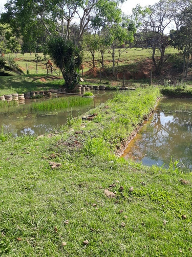 Imagem 23 de 27 de Chácara 31mil M2, Rica Em Água Com Tanques Com Peixes, Casa Sede, Área Gourmet Com Churrasqueira E Piscina, Playground, Wifi, Ótima Localização - Ch00250 - 70806333