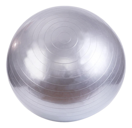 Pelota De Pelota De Ejercicio Pelota De 55cm Plata