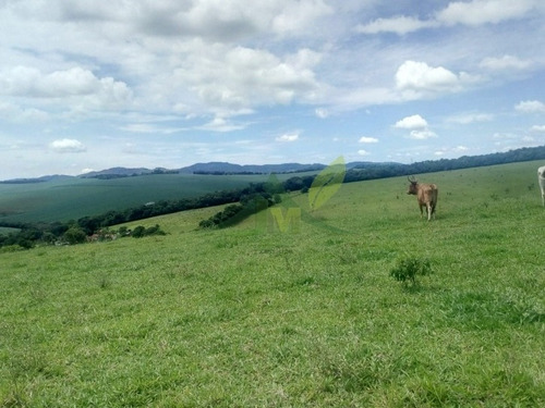 Imagem 10 de 11 de Fazenda Em Bragança Paulista 23 Alqueires R$6 Milhões - 826