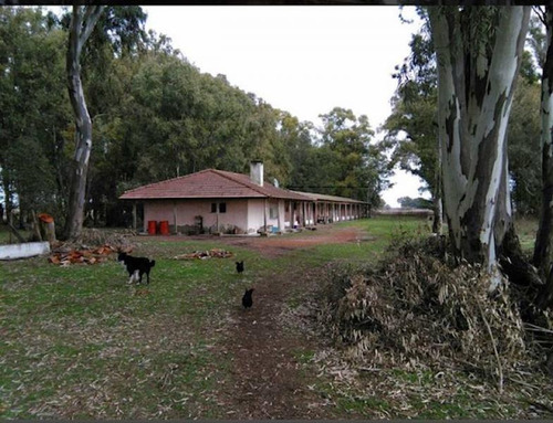 Imagen 2 de 17 de Campo En Venta En Ruta 30 A Metros Sociedad Rural 15