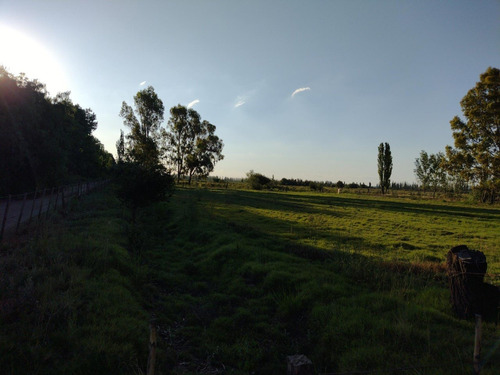 Imagen 5 de 13 de Vendo Finca San Rafael Goudge