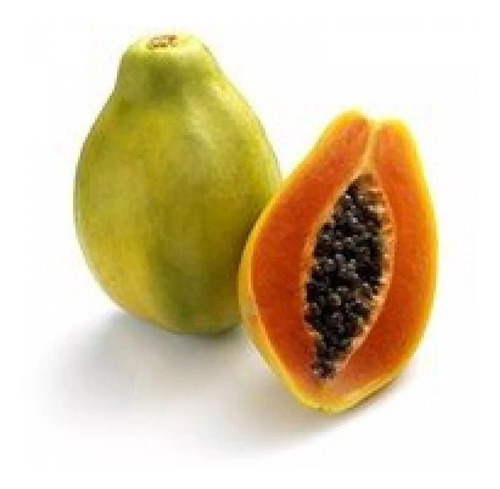 100 Sementes Mamão Anão Do Amazonas Papaya Sementes Original