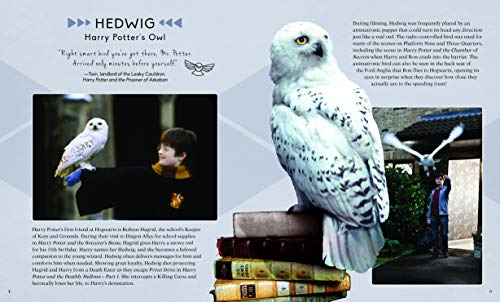 Harry Potter Hedwig 3d Wood Puzzle & Model Figure Kit (24 Pi