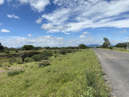 Imagen 2 de 6 de Terreno Comercial En Venta El Sauz