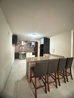Apartamento en alquiler