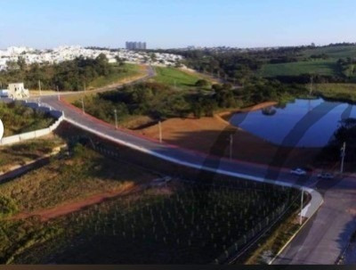 Imagem 6 de 8 de Terreno - Te00177 - 70338375