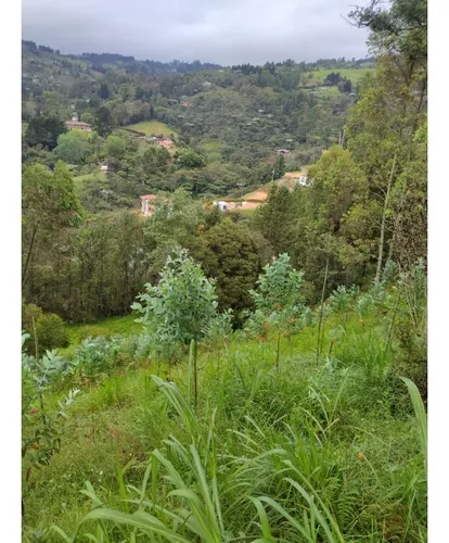 Finca En Vender En Guarne
