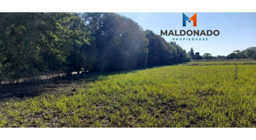Imagen 5 de 9 de Venta Campo Quinta