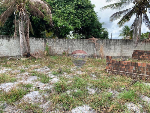 Imagem 4 de 12 de Terreno À Venda, 620 M² - Ponta De Pedras - Goiana/pe - Te0277