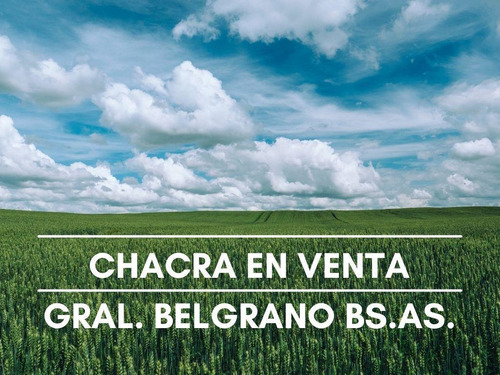 Imagen 1 de 30 de Se Vende 32 Hectáreas Agrícola - General Belgrano, Provincia De Buenos Aires