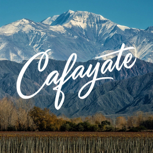 Vino Torrontés Cafayate Reserve Bodega Etchart 750 ml