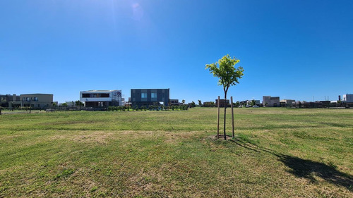 Imagen 4 de 4 de Terreno - Acacias