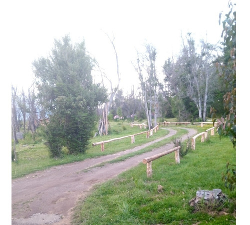 Imagen 4 de 28 de En Venta (010) Casa Quinta Remodelada, 2 Hectáreas, Árboles Nativos, Con Otra Casita Ecológica, Golondrinas, Lago Puelo Chubut