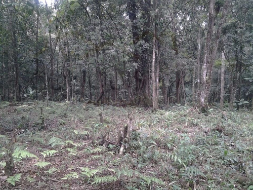 Imagem 3 de 6 de Sitio - Curucutu - Ref: 1428 - V-3551