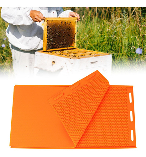 Fundação De Abelhas Folhas De Favo De Mel Com Laranja