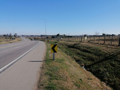 Imagen 5 de 12 de Chacra 1.5 Hectarea En Venta - 75 Metros De Frente A La Ruta 102 Km 38.500