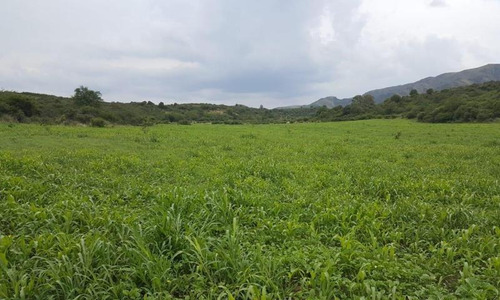 Imagen 15 de 20 de Chacra En Venta, Villa Giardino, Córdoba.