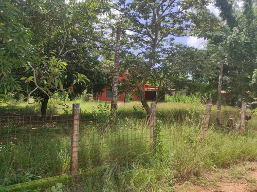 Imagen 7 de 8 de Jenny Vergel Rentahouse Mp Terreno En Venta Sabana Del Medio Tocuyito 22j9409