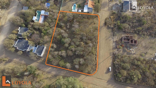 Imagen 3 de 9 de Hermoso Lote En Esquina Con Arboles De Gran Porte!!!!!!