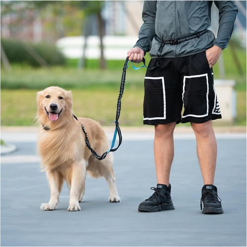 Correa De Perro Manos Libres Con Bolsa Impermeable Con Cr...