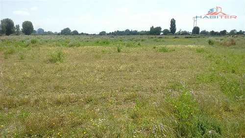 Imagen 13 de 30 de Agrícola En Venta En Linares