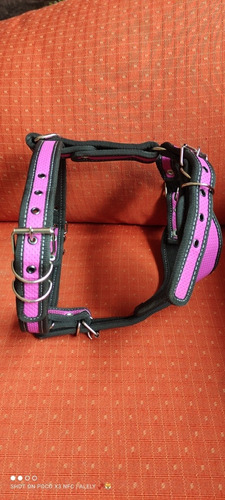Pechera Arnés De Seguridad Para Perro Morada