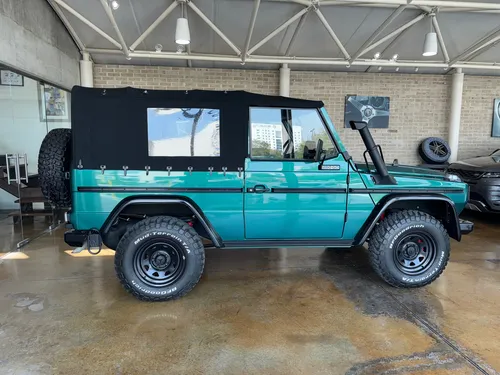G 250 Gd 1990 Diesel Cabriolet