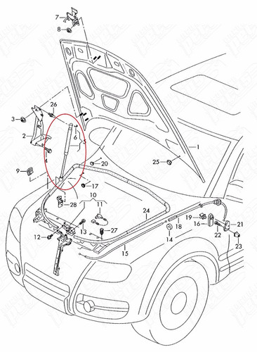 Amortecedor Capô Touareg 3.6 V6 2005-2010 Original