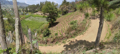 Solar Constanza Con Vista Espectacular 472m2, Luz ,agua, Buen Acceso