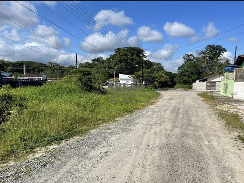 Imagem 8 de 10 de Terreno, Flórida Mirim, Mongaguá - R$ 85 Mil, Cod: 353770 - V353770