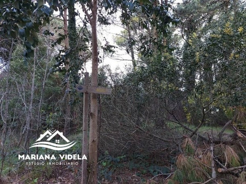 Terreno En Venta En Carilo. Zona 2. Esquina.