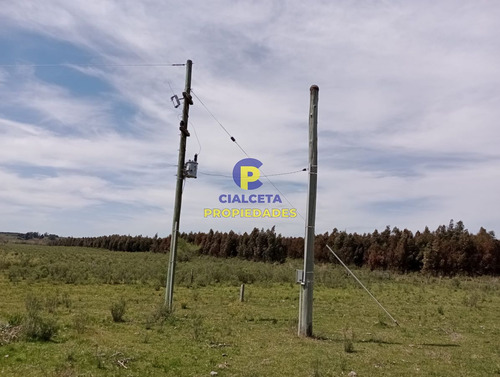 73 Hectáreas En Canelones