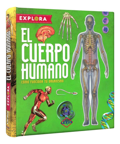 Libro Explora El Cuerpo Humano